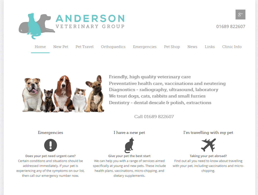 Anderson Vets